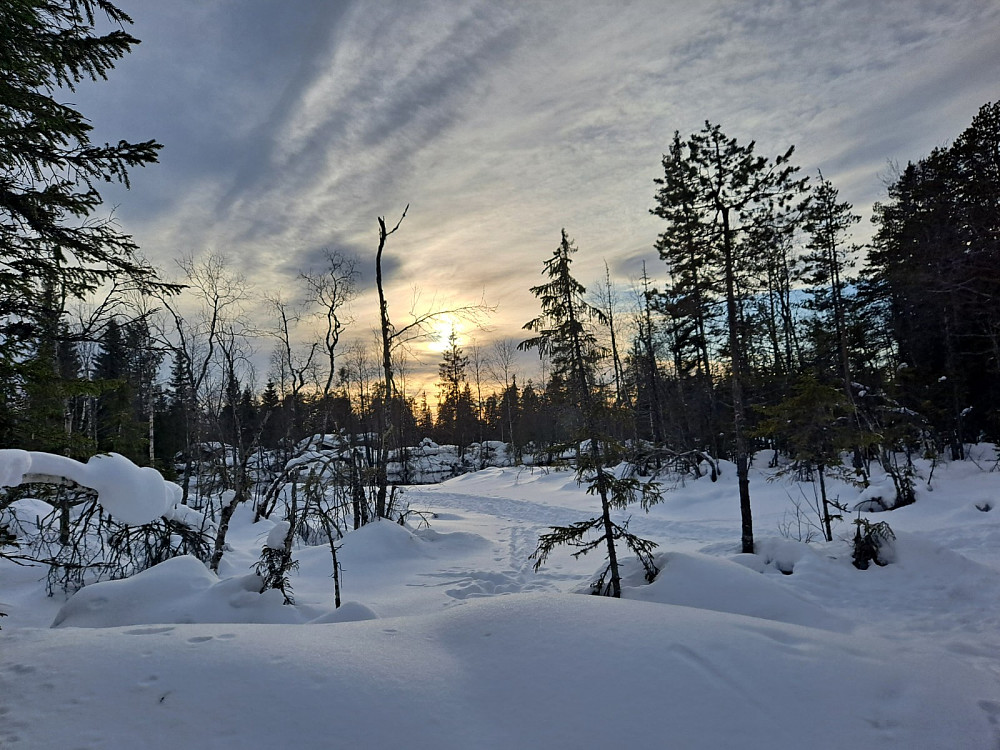 går tilbake fra Øvstedalsfossen