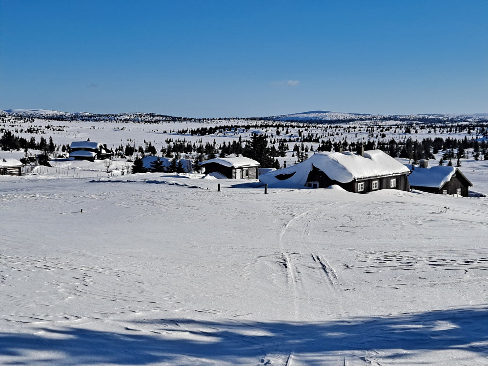 Ved Nysetra