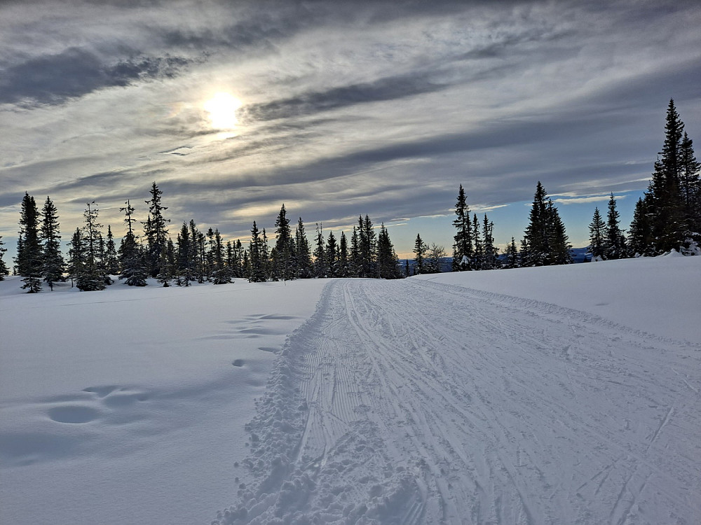 Kommet inn igjen på Birkebeinerløypa