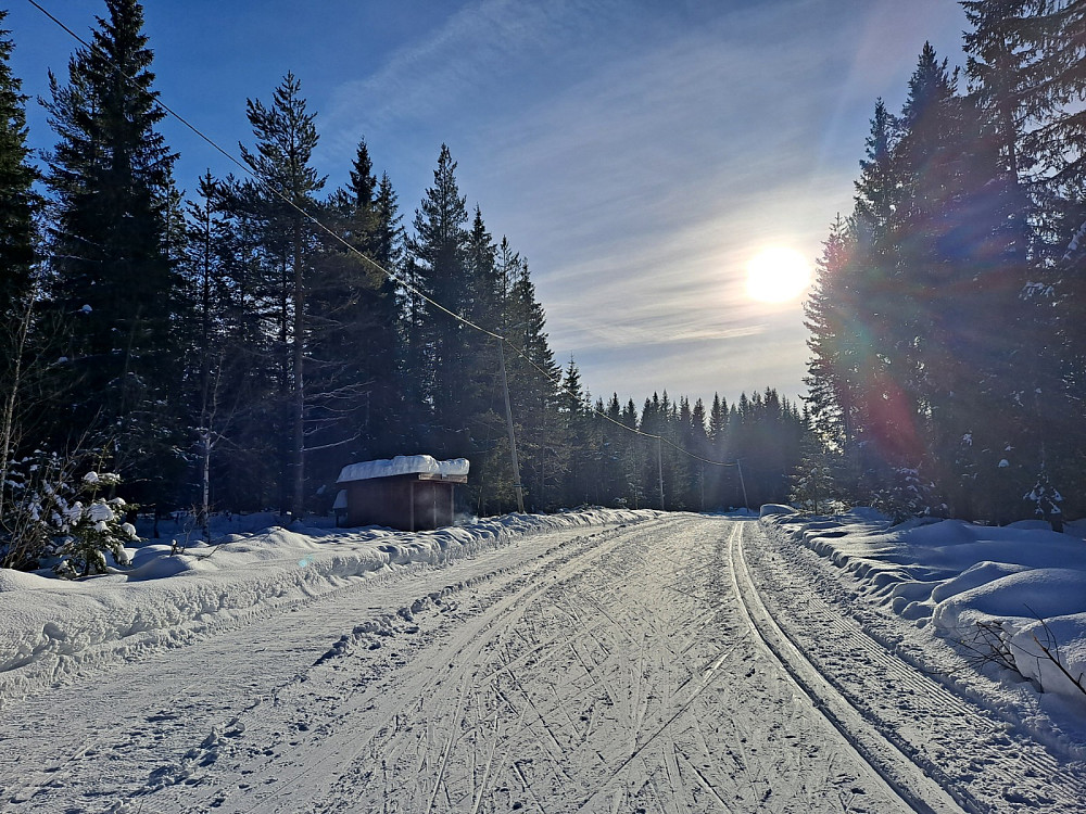 Ved Hammerkoia