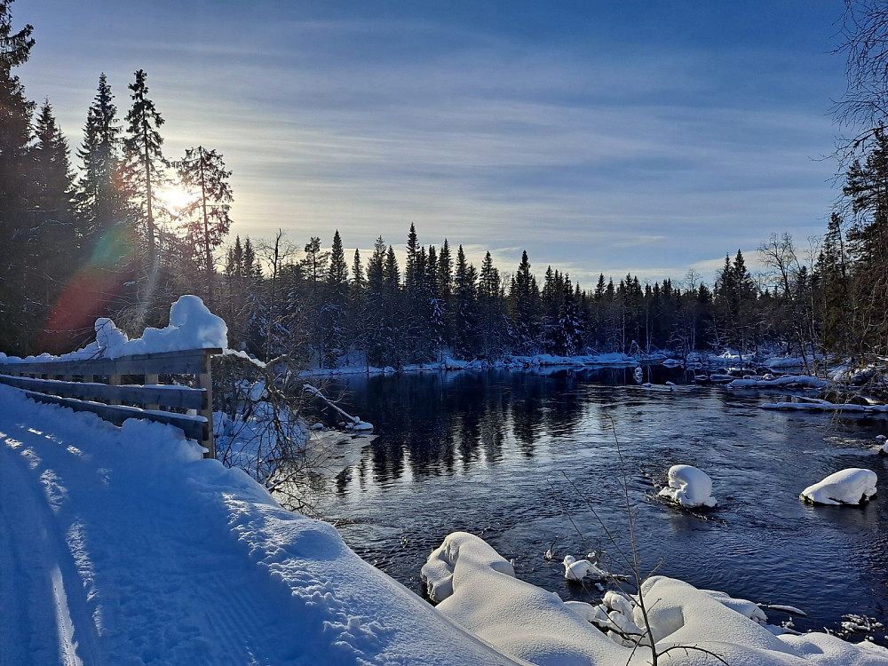 Ved Mesnaelva