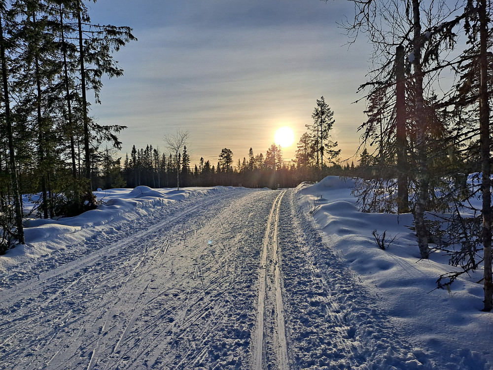Nedover mot Bottilmyra