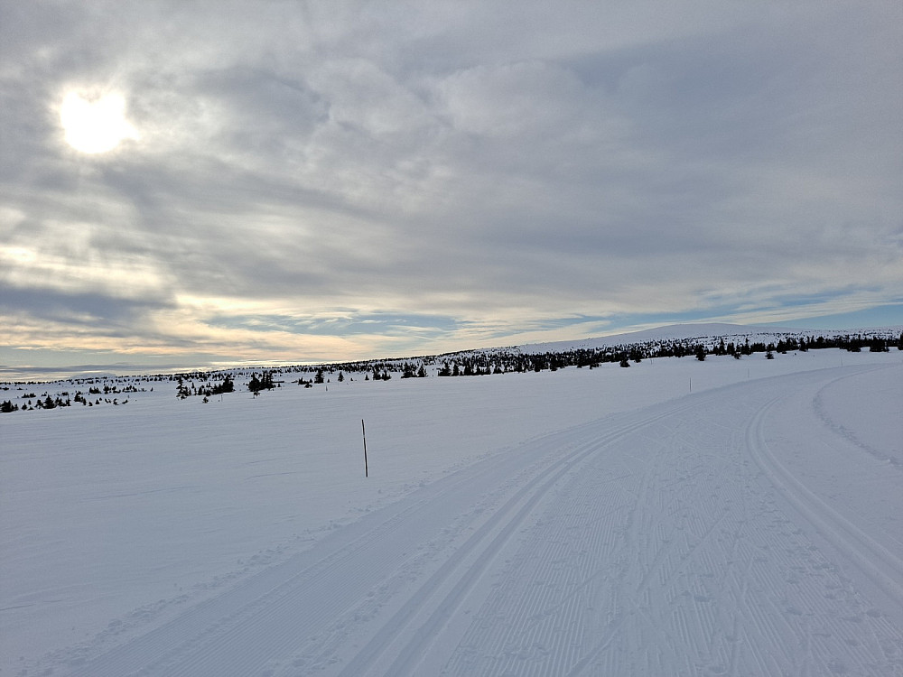 Mot Nevelfjell