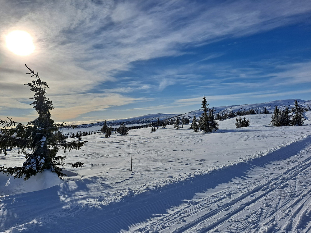 Mot Nevelfjell og Reinsfjell