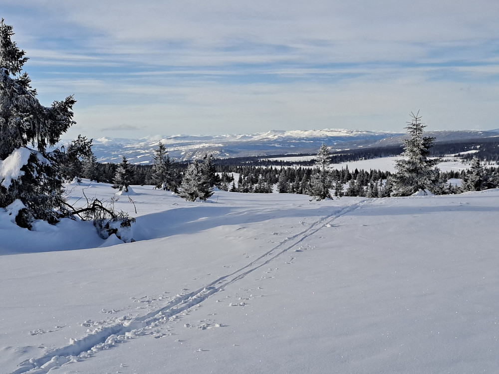 Mot Gausdal Nordfjell
