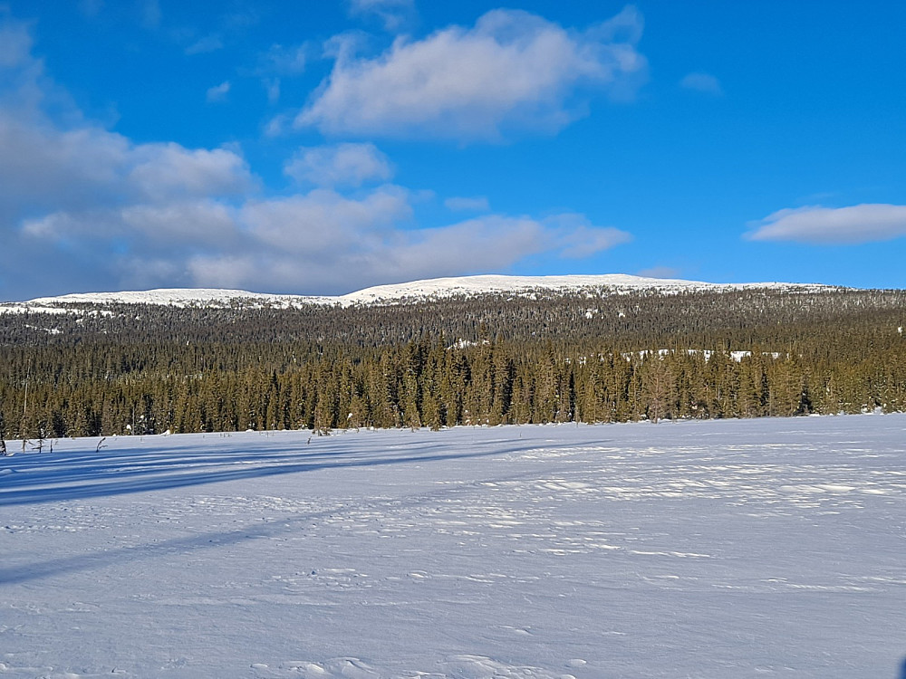 Mot Slåsæterfjellet og Nevelfjell