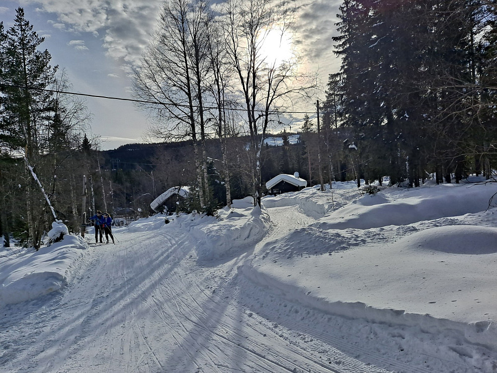Ved Mesnasaga