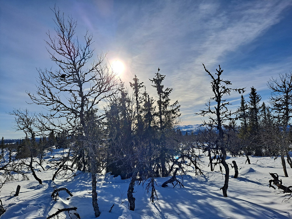 På Værskeitoppen