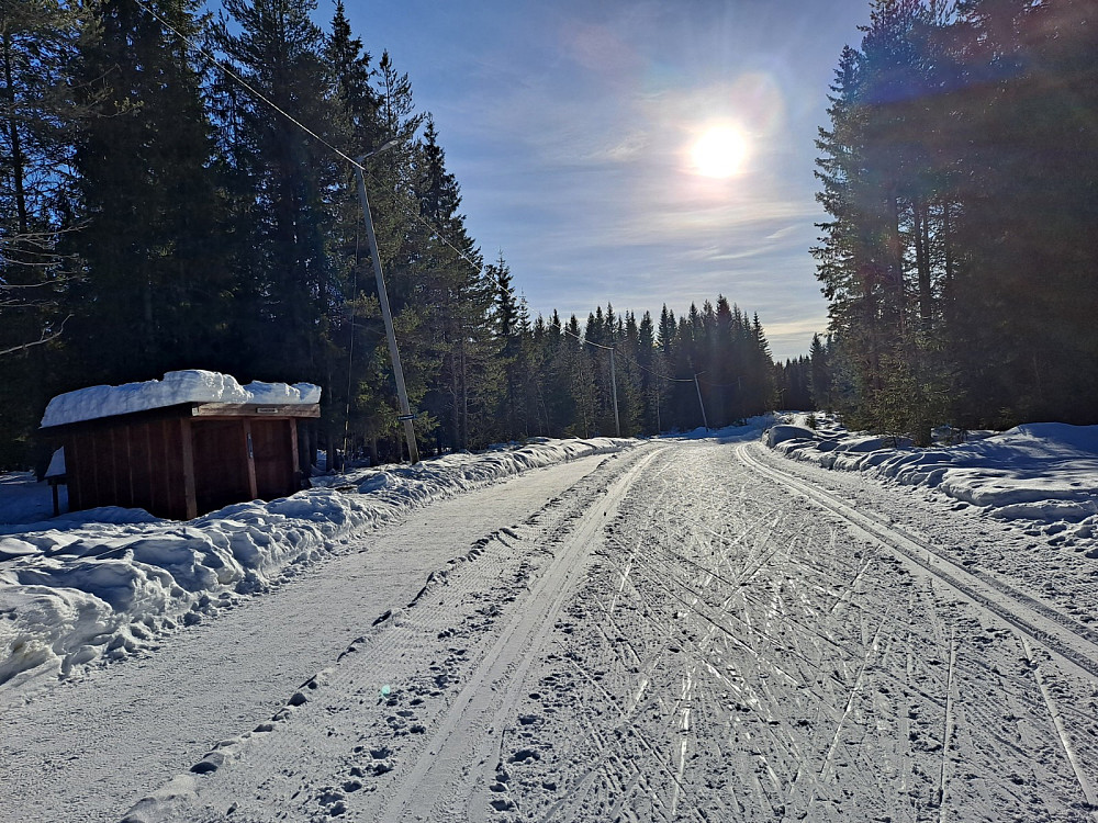 Ved Hammerkoia