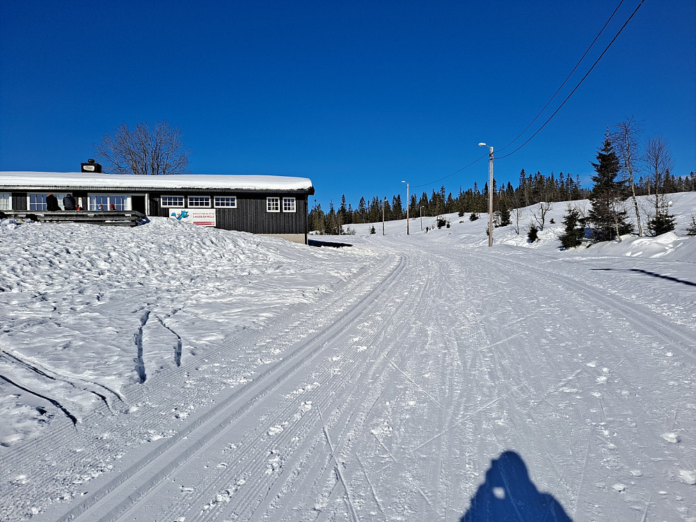 Ved Lageråkvisla