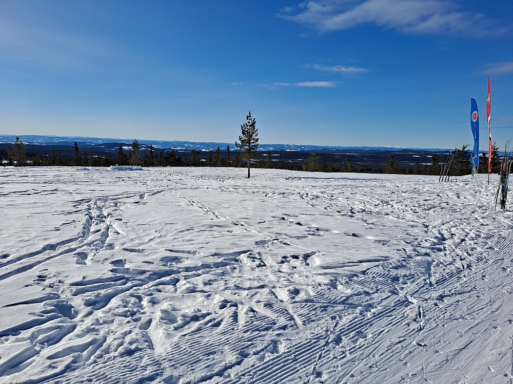 Ved Stenfjellhytta
