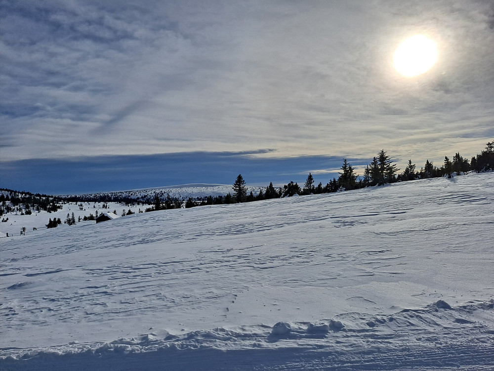 Ved setrene på Gjesboåsen