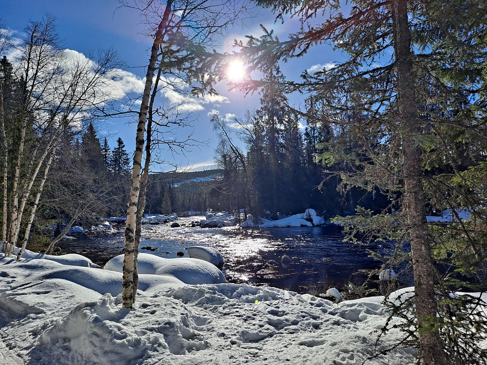 Mesnaelva