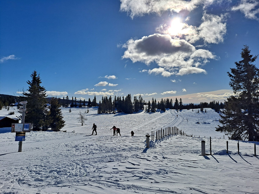 Ved løypekrysset Trondsmyra
