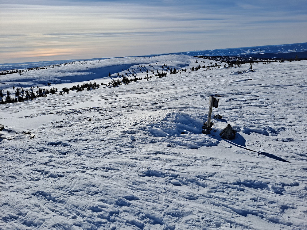 På Mostfjellet