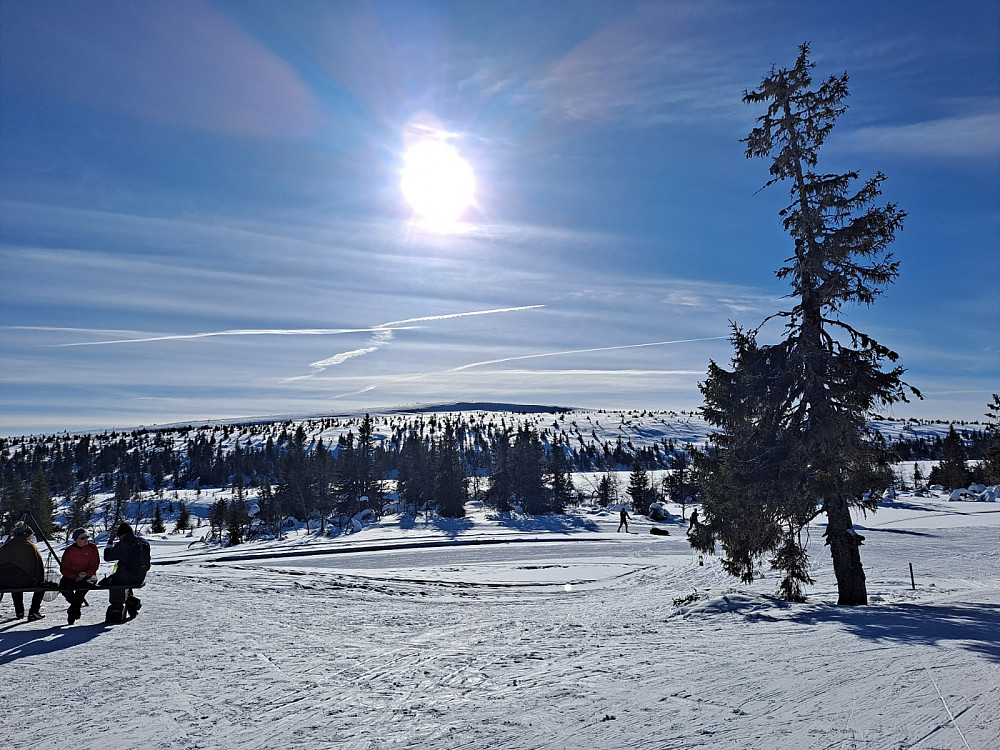 Ved Midtfjellkoia