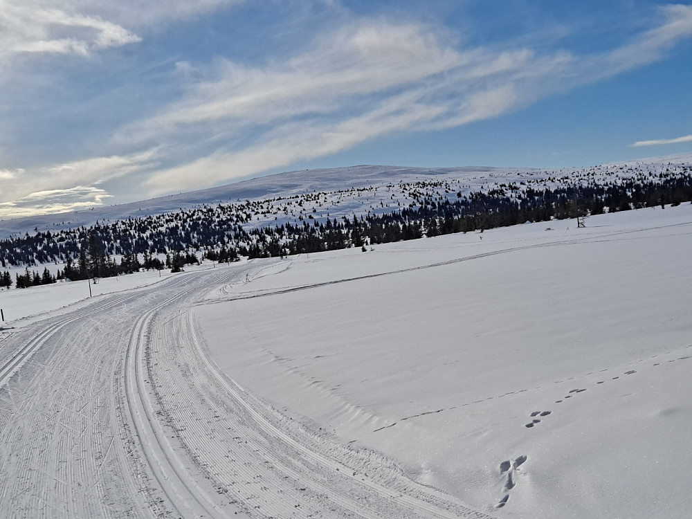 Nesten oppe ved Pellevegen, mot Nevelfjell