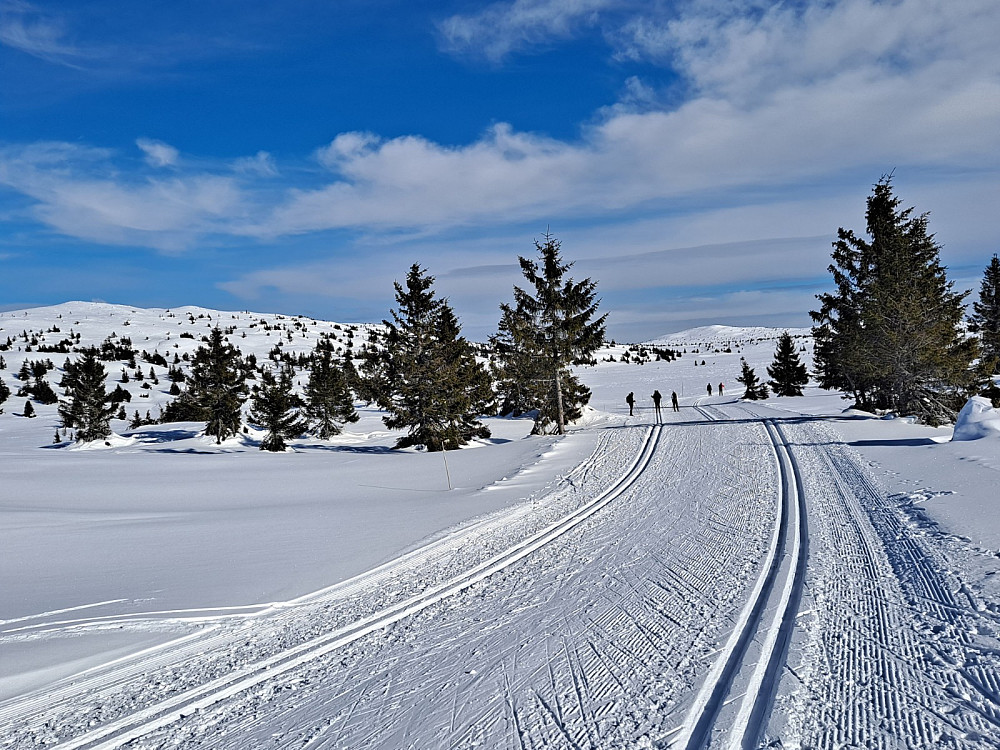 I Hitdalen, ser bakover mot Kriksfjell