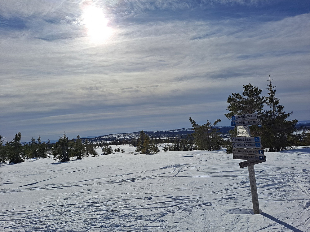 På Målifjellet