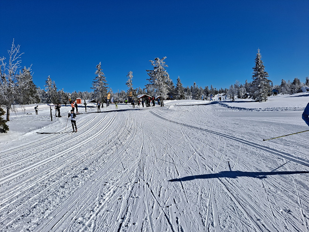 Ved Midtfjellkoia