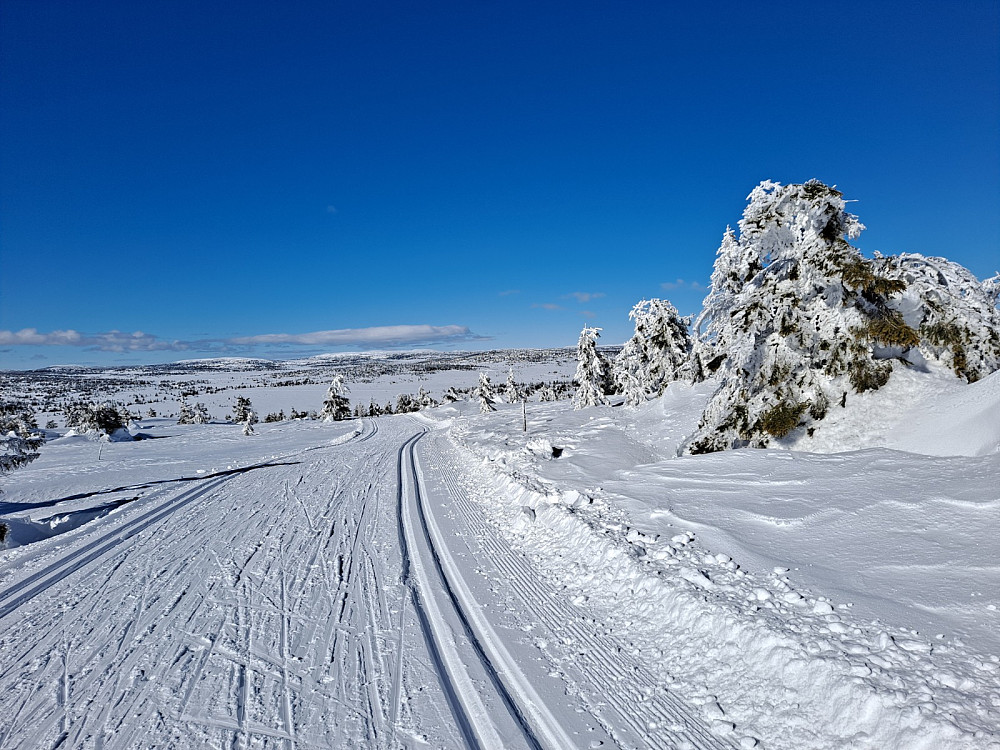 På vei ned fra Snørvillen