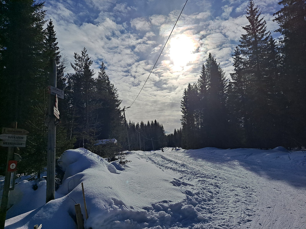 Ved Hammerkoia