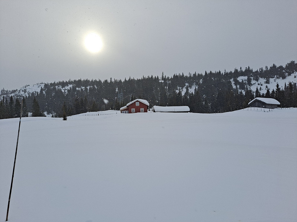 Ved Trisnippsetra