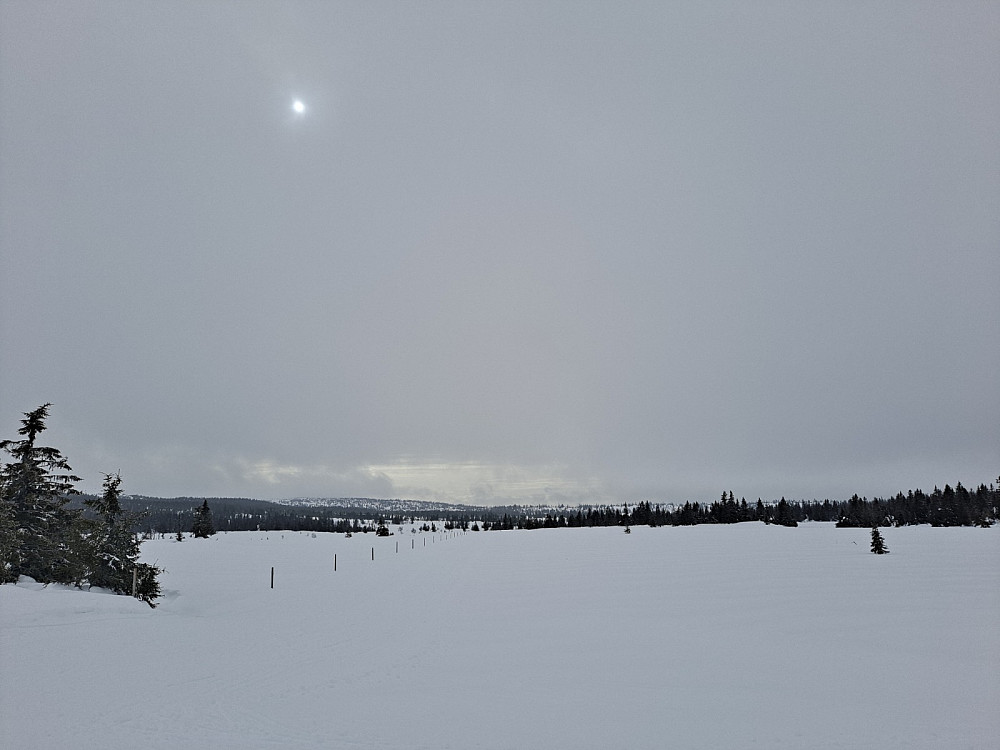 Ved løypekrysset Brua