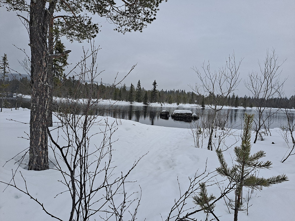 Ved Bottilflø