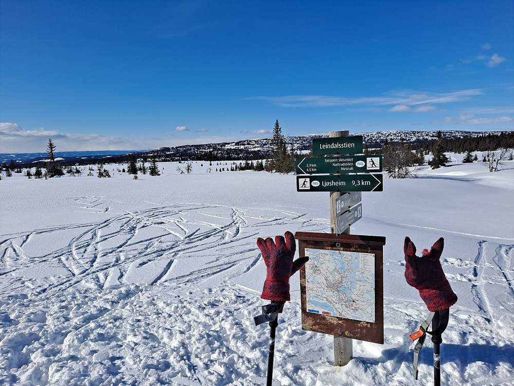 Ved løypekrysset Leindalsstien