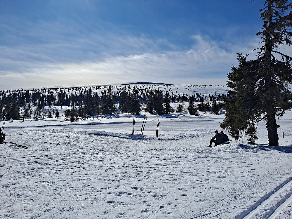 Ved Midtfjellkoia