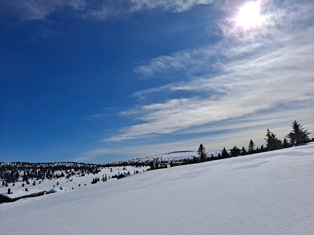 Ved setrene på Gjesbodåsen