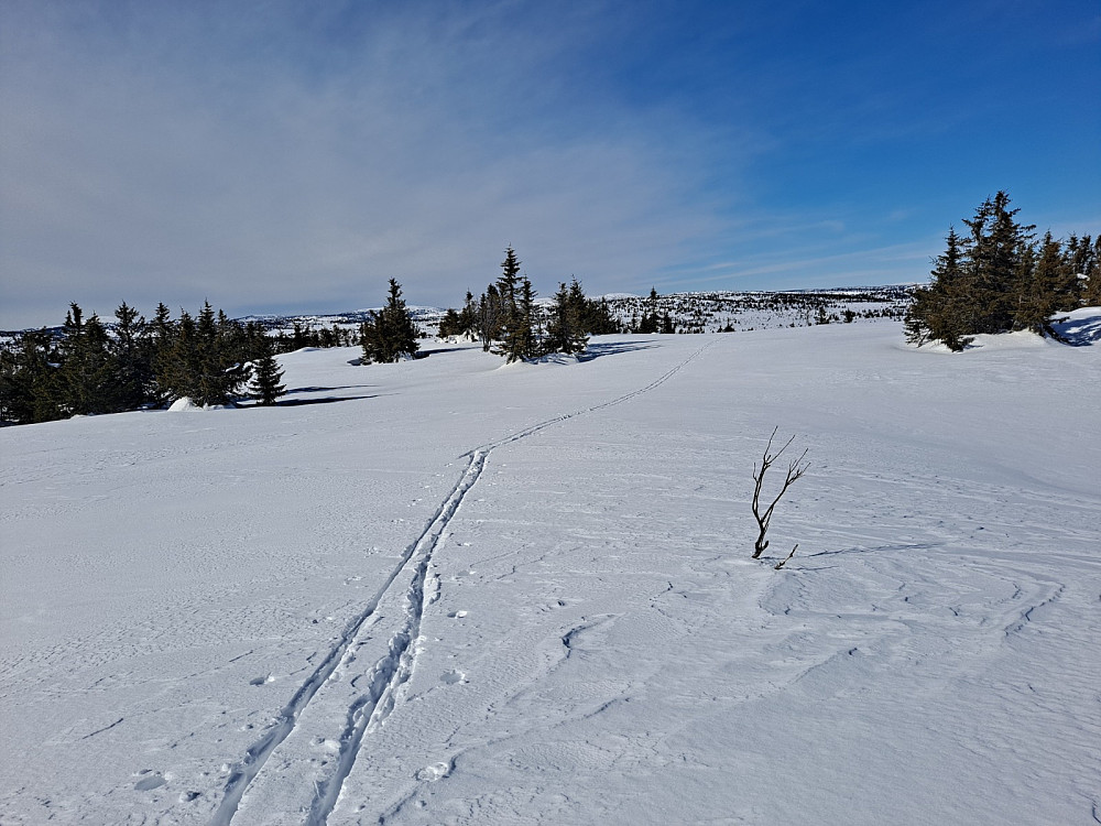 På Gjesbodåsen