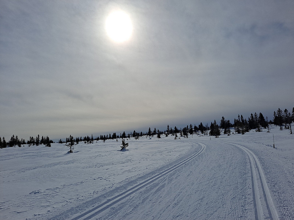 Ved Løypekrysset Kuåsen
