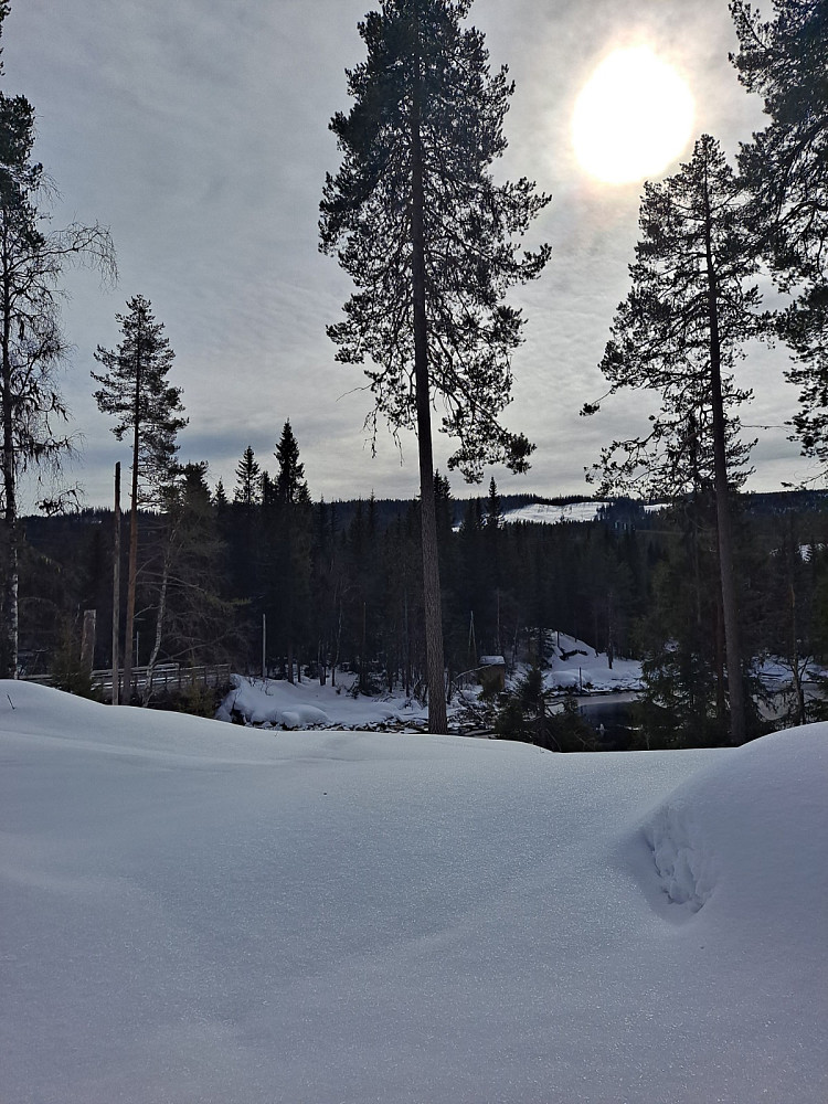 Ved Mesnasaga