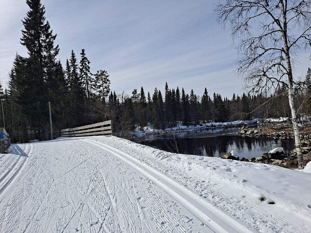 Ved Mesnasaga