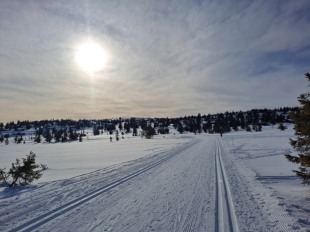 På Storåsmyra