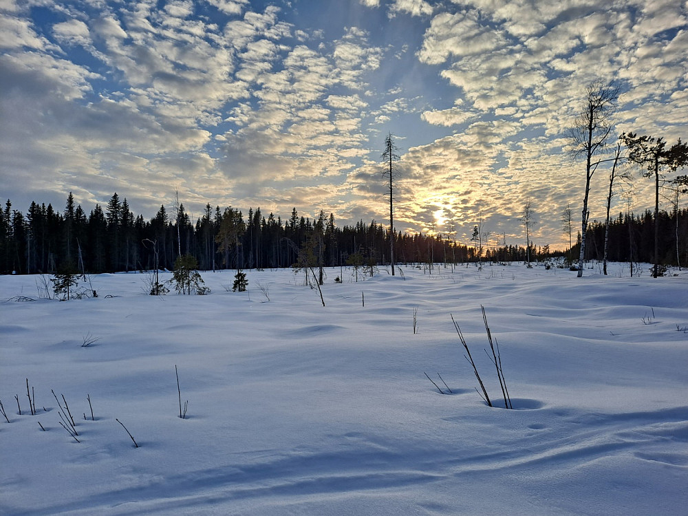 Mellom Bottilmyra og Kanalen