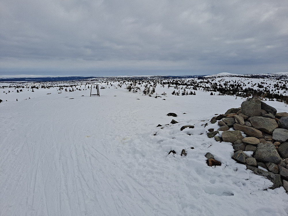 På Sjusjøfjellet øst