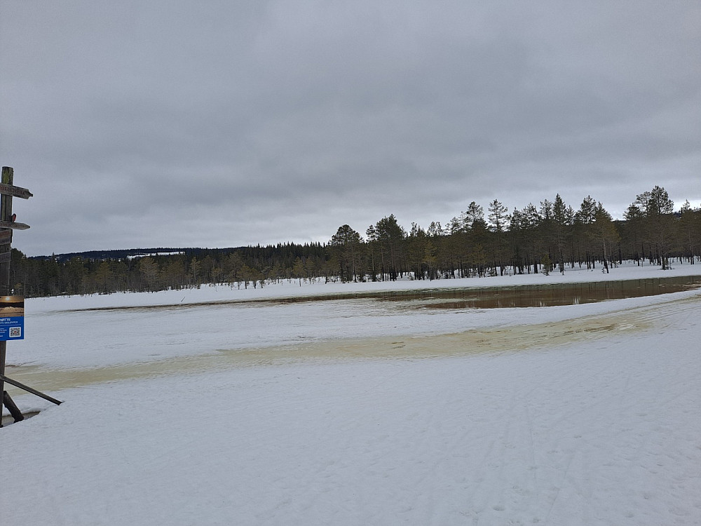 Det har blitt mye overvatn på Bottilmyra