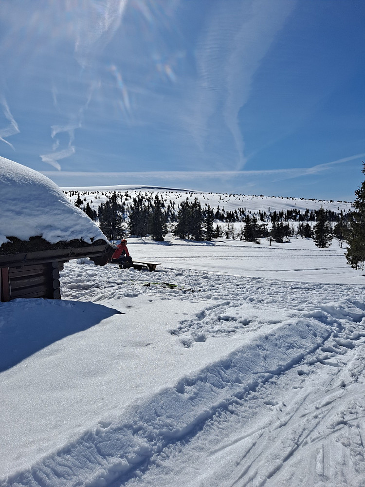 Ved Midtfjellkoia
