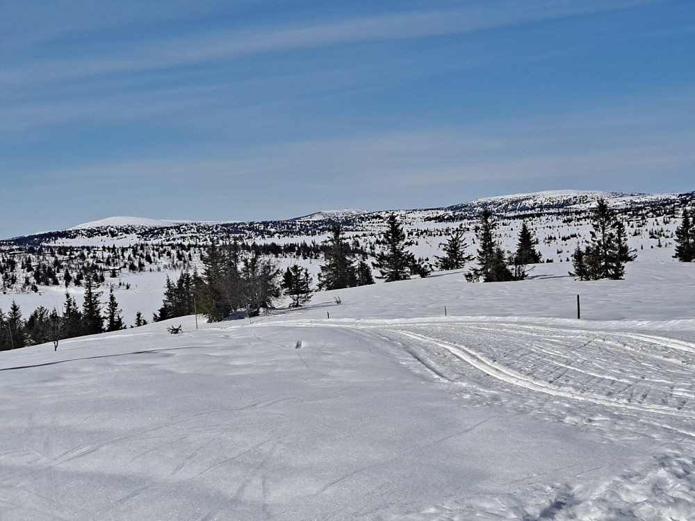 Ved Gjesboåsen
