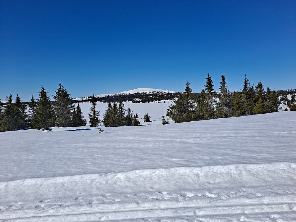 På Reinavegen
