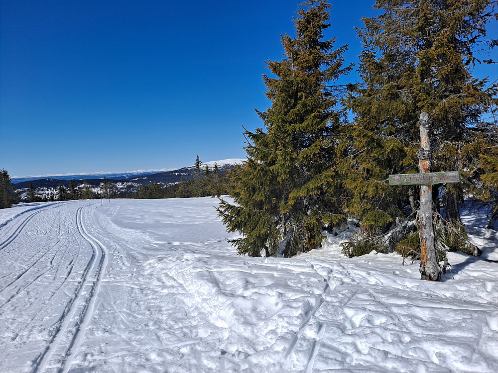 Ved Appelsinhaugen