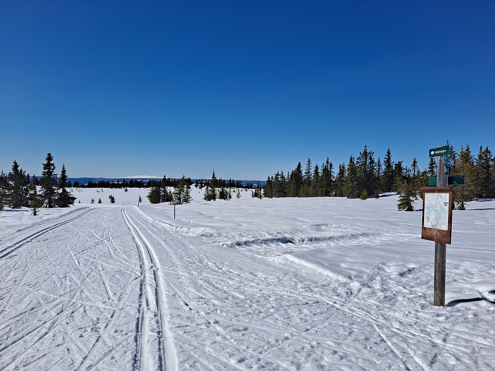 Ved løypekrysset Høghaugen