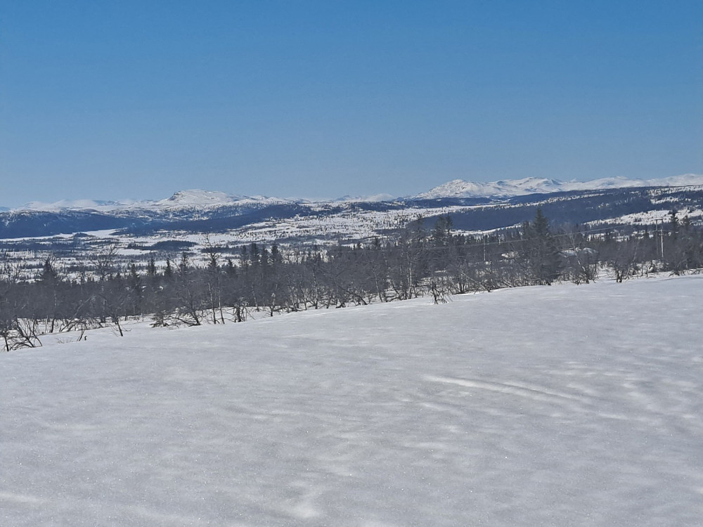 På Værskei, sikteskiva er skjult under snøen