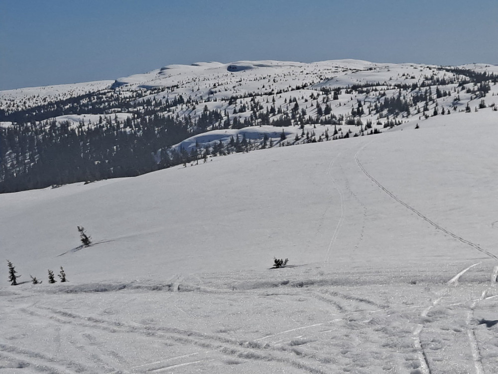 På Hærfjellet