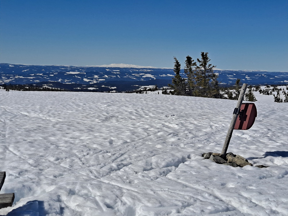 På Sjusjøfjellet