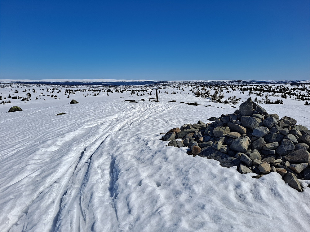 På Sjusjøfjellet øst