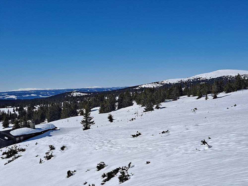 I løypa ved Løvisåsen